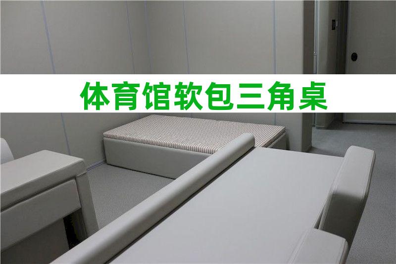 滞留室防撞墙系统